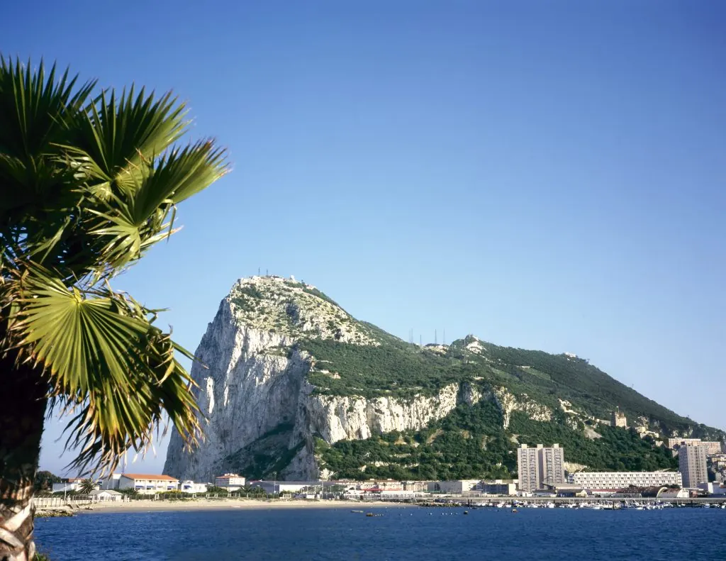 Resident vs. Non-Resident Companies in Gibraltar: Key Differences for Business Formation